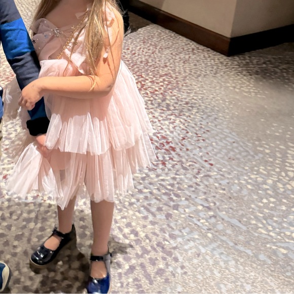 Marias Sky Butterfly Tulle Pink Princess Dress Excellent Condition Sz 5/6 - Picture 8 of 8